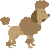 hond png