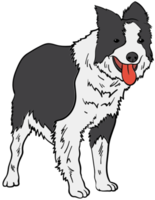 chien png