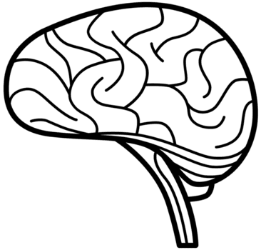cerebro png