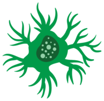 neurone png