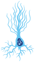 Neuron png