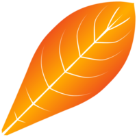 Leaf png