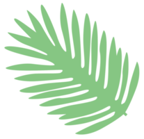 blad palm