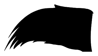 Vleugels png