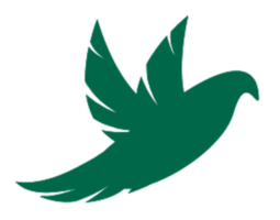 Bird png