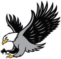 águila png