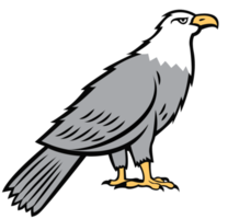 águila png