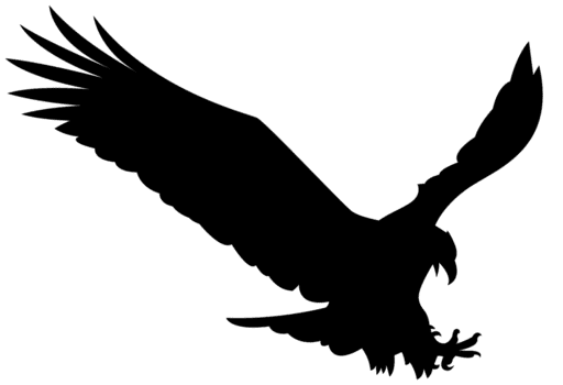 Águia png