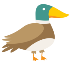 canard png