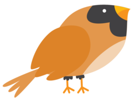 uccello png