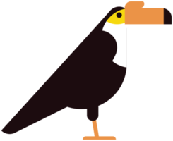 tucano png