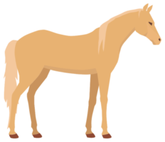 cavalo png