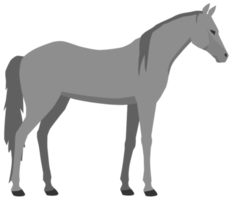 caballo png