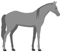 cheval png