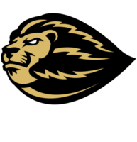 Lion png