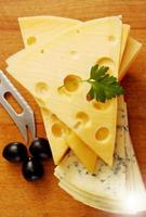 cut  Swiss and blue cheese photo