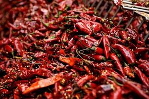 Sun dried chili pepper photo
