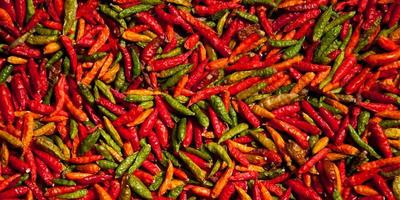 Spicy chilis spread out for drying photo