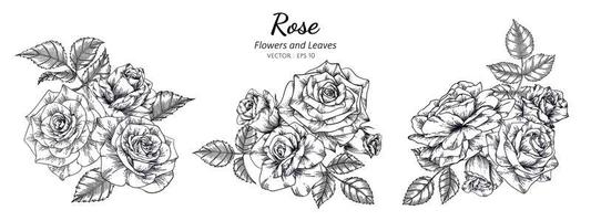 Hand drawn rose stems background Royalty Free Vector Image