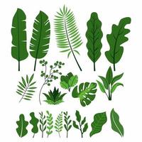 colección de hojas verdes vector