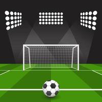 Soccer ball on the grass in front of goal vector