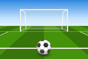 Soccer Ball on Grass in Front of Goal vector