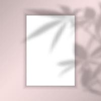 Fondo de imagen en blanco con superposición de sombra de hojas vector