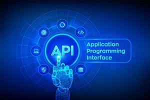 Application Programming Interface vector