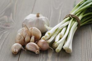 bunch of fresh green onions and garlic photo
