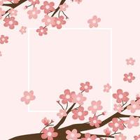 Cherry blossom background illustration vector