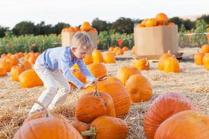 kid at pumpkin patch photo