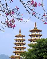 The famous scenic spot "tower of dragon and tiger"