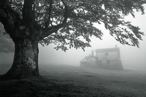 mysterious house in foggy forest photo