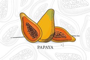 Hand Drawn Papaya Fruit Design vector