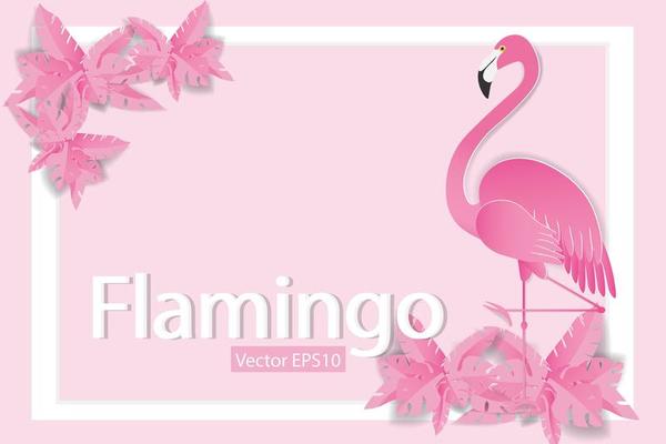 Flamingos on Pink Background with White Frame