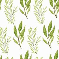 Watercolor green leaf branches seamless pattern vector