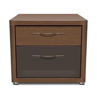 Wooden Cabinet for Office vector