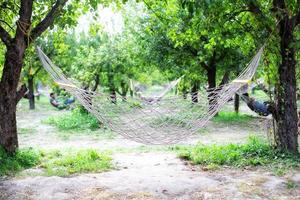 Hammocks lined up in a park photo