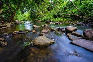Mountain stream in the woods photo
