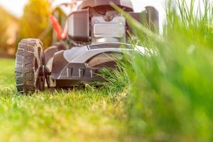 Lawn mower in action photo