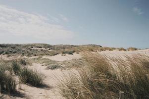 Beach sand dunes in Portugal photo