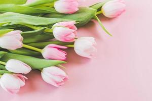 tulipanes rosados sobre fondo rosa foto