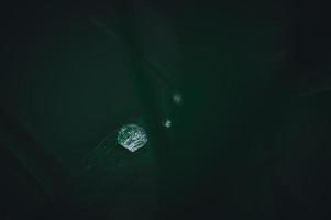  Water droplets on leaf photo