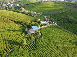 Aerial of farm and houses photo