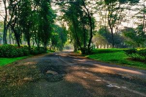 Sunshine on road photo