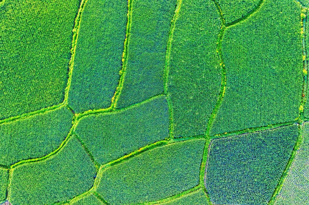 Grass Pattern Stock Photos, Images and Backgrounds for Free Download