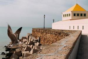 edificio al lado del mar foto