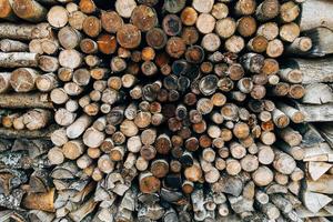 Pile of wood logs photo