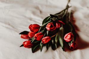 Red tulips on white linen photo