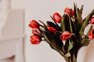 Red tulips in vase photo